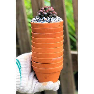 Bộ 10 chậu đất nung trồng xương rồng sen đá Rộng 9 cm x Cao 5,5 cm