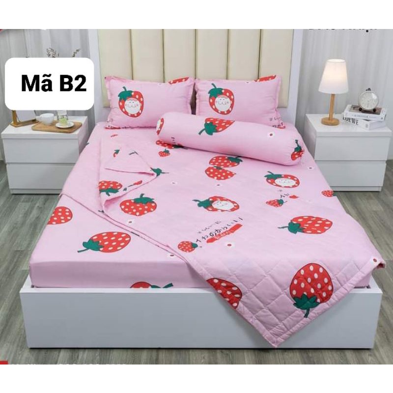 Bộ 5 món cotton boly mẫu mã đa dạng đủ kích thước