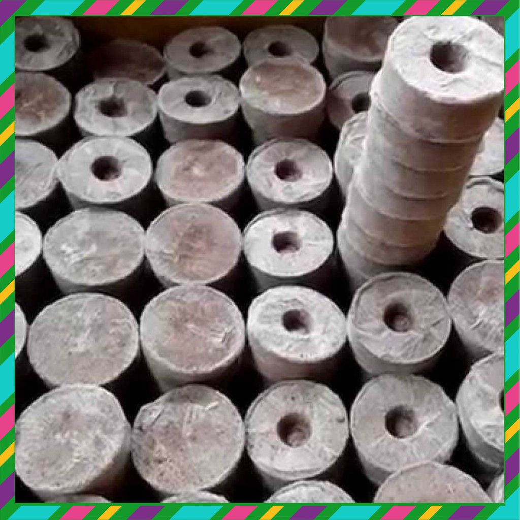 Viên nén dinh dưỡng ươm hạt giống chuyên dụng