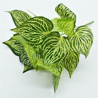 Cây Nhựa Pvc - Cây Ngọc Ngân Lá Xọc Vằn