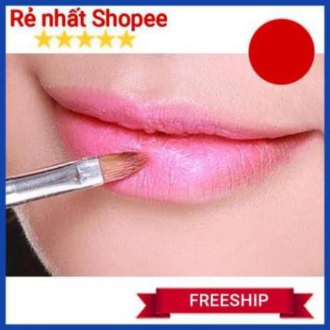 [FREESHIP] Cọ môi cao cấp siêu mềm mượt có nắp đậy