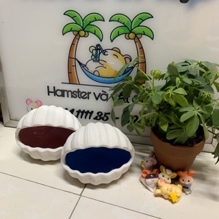 Nhà sứ vỏ sò cho hams, nhím, bọ