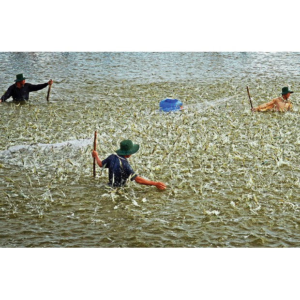 BỔ SUNG VITAMIN C .Hộp 1kg