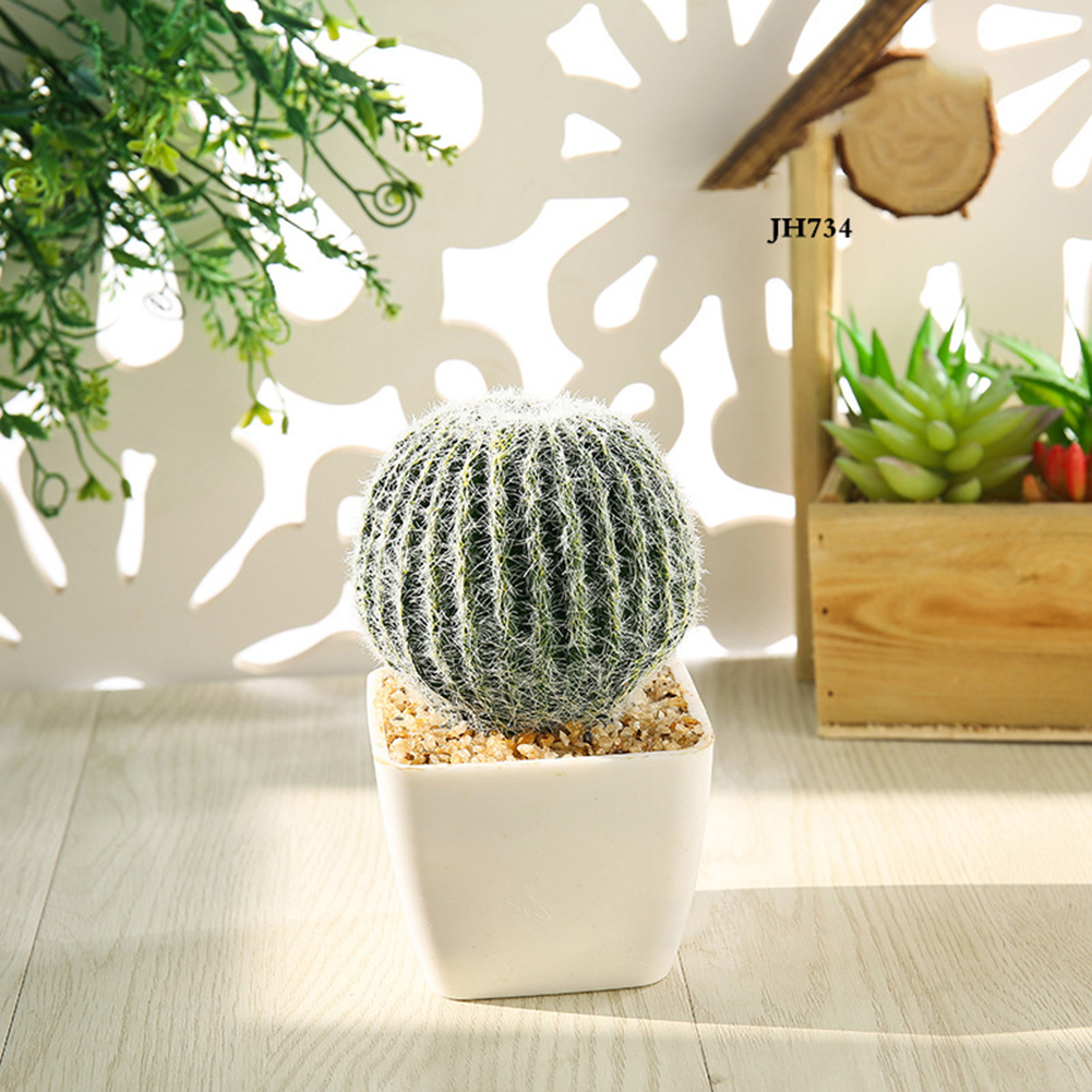 Chậu cây xương rồng giả để trang trí nội thất