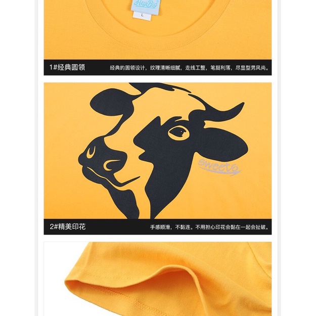 Áo phông nelly heybig sale (có sẵn) trâu