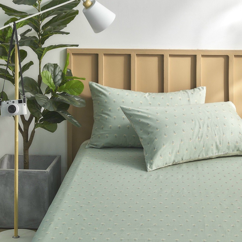 TH SET ga gối cotton 100% nguyên chất (1 ga 2 vỏ gối)