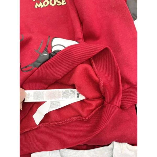 Áo nỉ mickey dư xịn 7/8-14/15 tuổi
