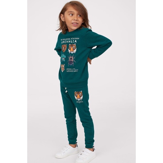 Bộ Nỉ Bé Trai Animal Xanh Lá Đậm HaM(bán lẻ áo lẻ quần)