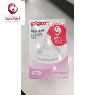 Núm ty pigeon nội địa size s - m - l - ll