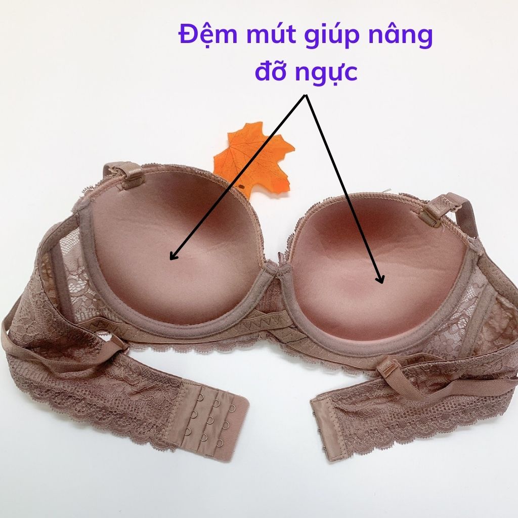 Áo ngực nữ ren có gọng nâng ngực sexy quyến rũ DOPICO A8833