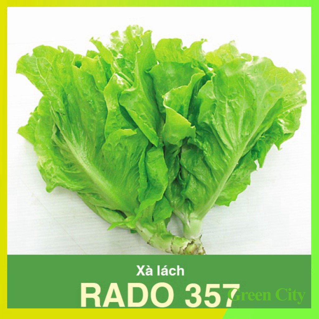 Hạt giống Xà lách lá mềm dài Rado 357 - Green City