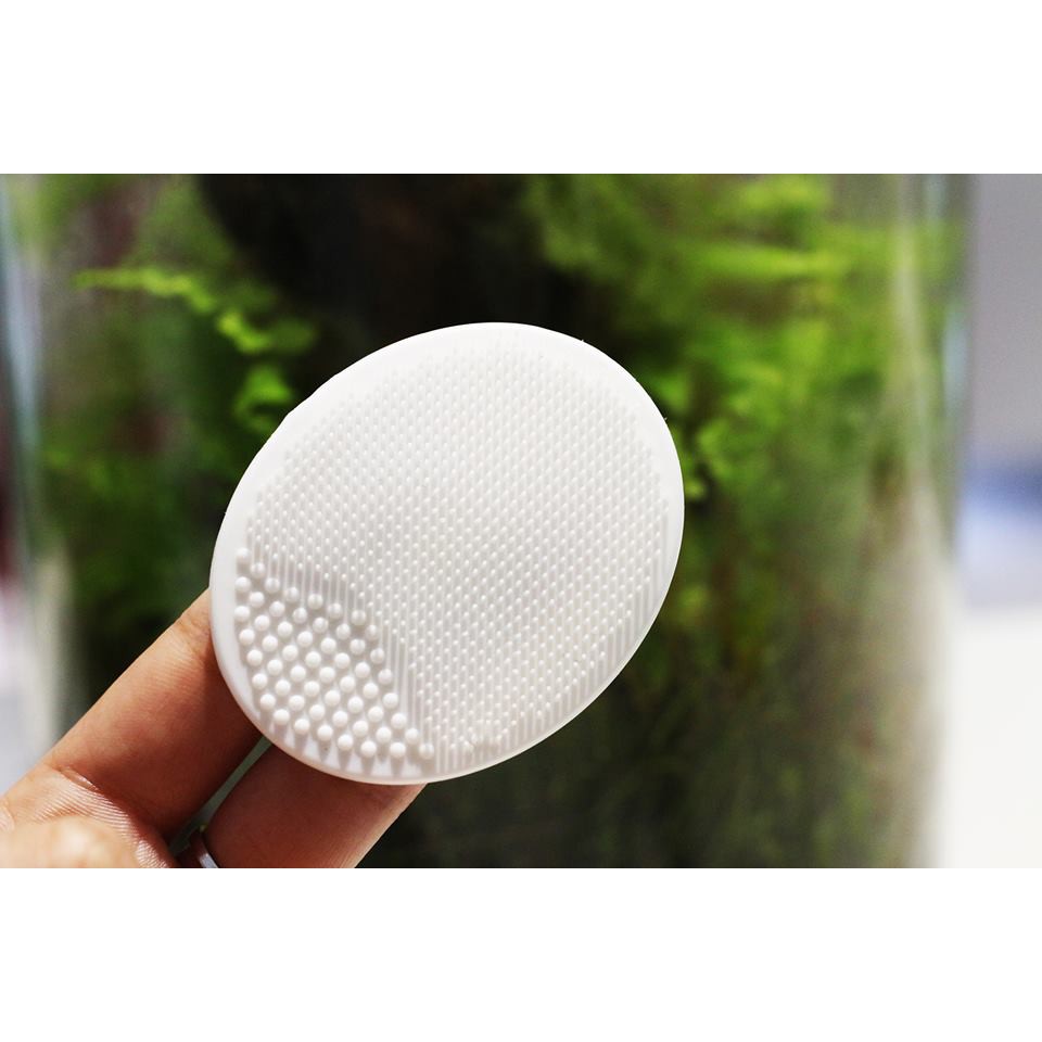 Miếng Rửa Mặt Sephora Exfoliating Face Disc | BigBuy360 - bigbuy360.vn