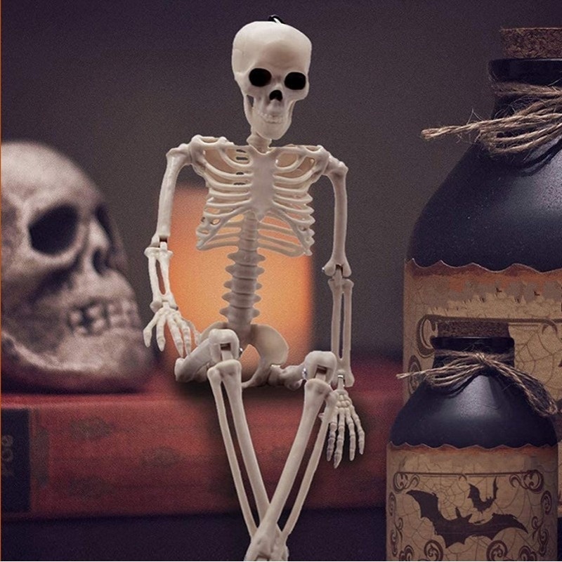 Bộ Xương Người Bằng Nhựa 60CM Dùng Trang Trí Halloween