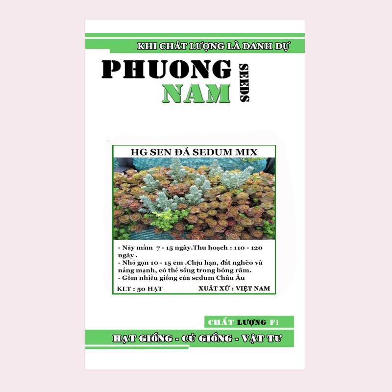 50H - HẠT GIỐNG SEN ĐÁ SEDUM