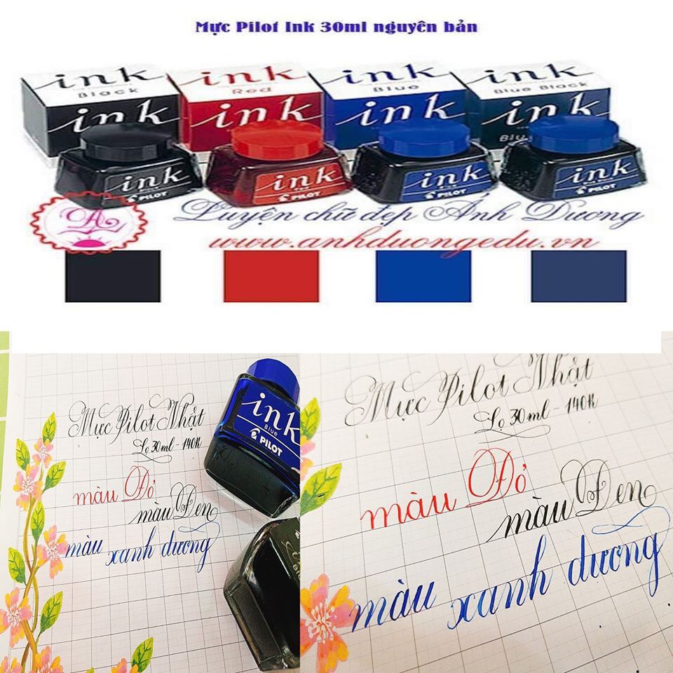 🍁 Mực Pilot Nhật