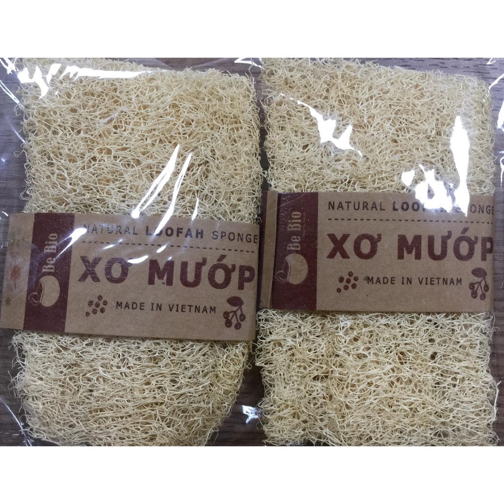Xơ mướp rửa bát