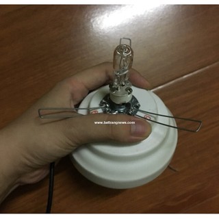 Bóng đèn xông tinh dầu dành cho đèn xông - loại cao cấp bóng đèn Halogen sợi đốt