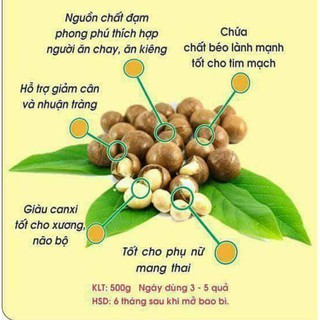 Hạt Macca Lâm Đồng nứt vỏ 500gr