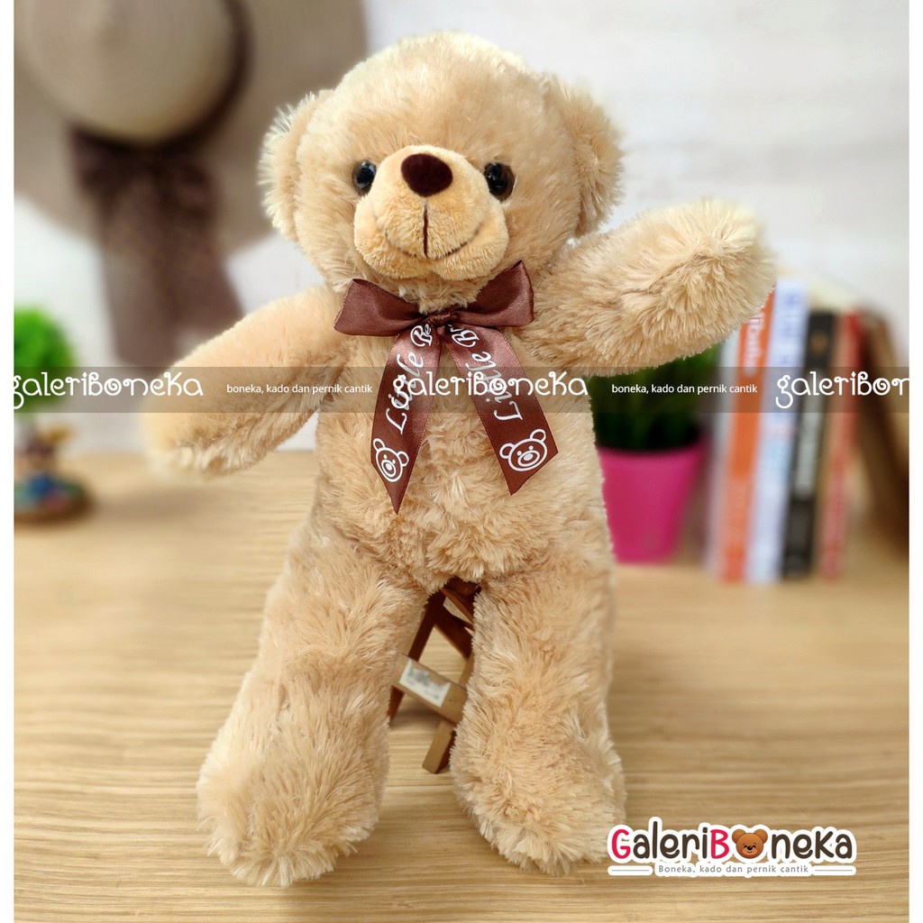 Gấu Bông Teddy Nhỏ Dễ Thương Bt - 252625