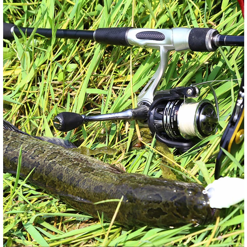 Cần câu cá KINGDOM bằng carbon cao cấp chuyên dụng 1.85M 2.2M