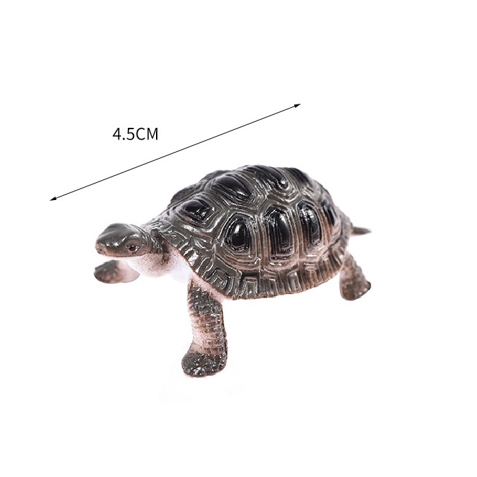 Đồ chơi 12 con Rùa mô hình đáng yêu Natural Turtle nhựa độc đáo cho bé - New4all