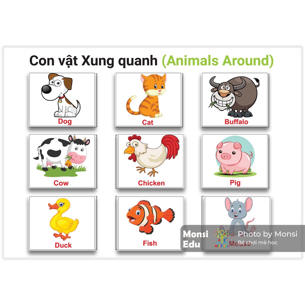 Monsi Edu Học liệu montessori tổng hợp 19 chủ đề Matching Book F18MM