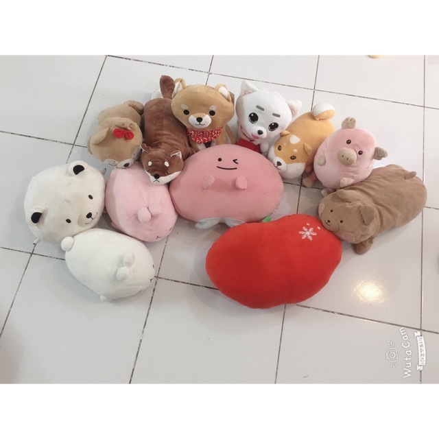 Set gấu voi miniso