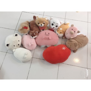 Set gấu voi miniso