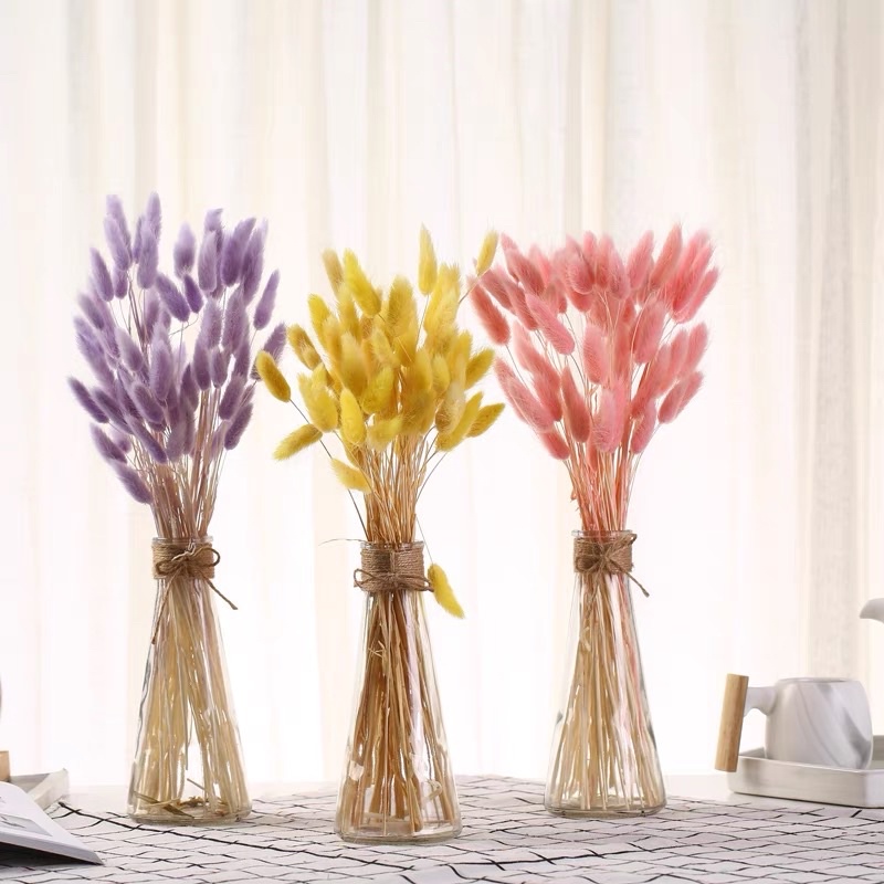 Hoa khô Cỏ đuôi thỏ trang trí décor bàn làm việc, phòng ngủ, chụp hình phong cách Bắc Âu