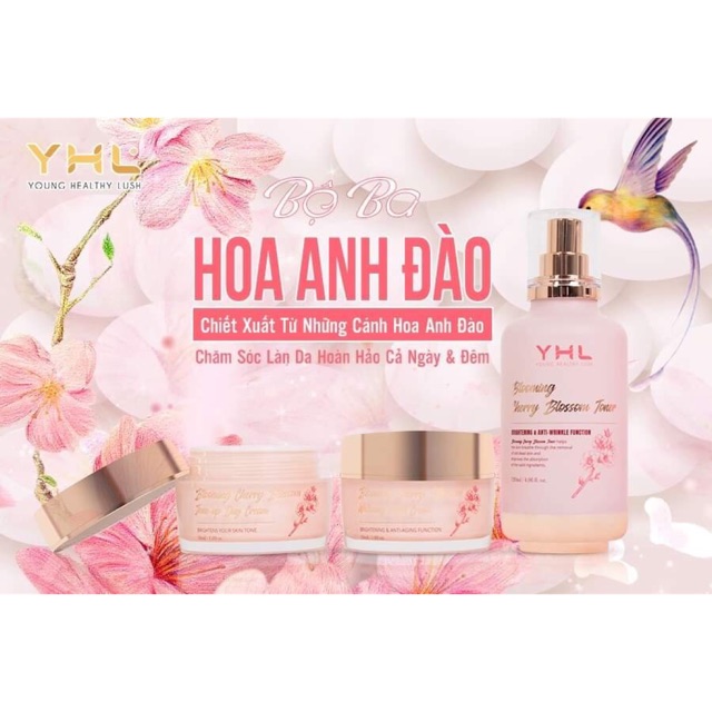 Sản phẩm dưỡng da hoa anh đào của YHL chính hãng