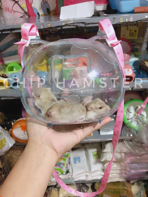 Lồng vận chuyển Kitty