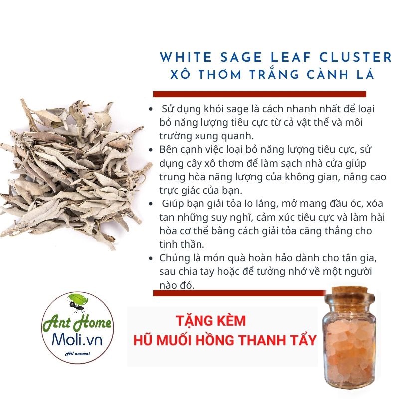 {QUÀ TẶNG} 100gr xô thơm trắng cành lá / hương thảo cành lá thanh tẩy LOẠI 1 (white sage, rosemary...)