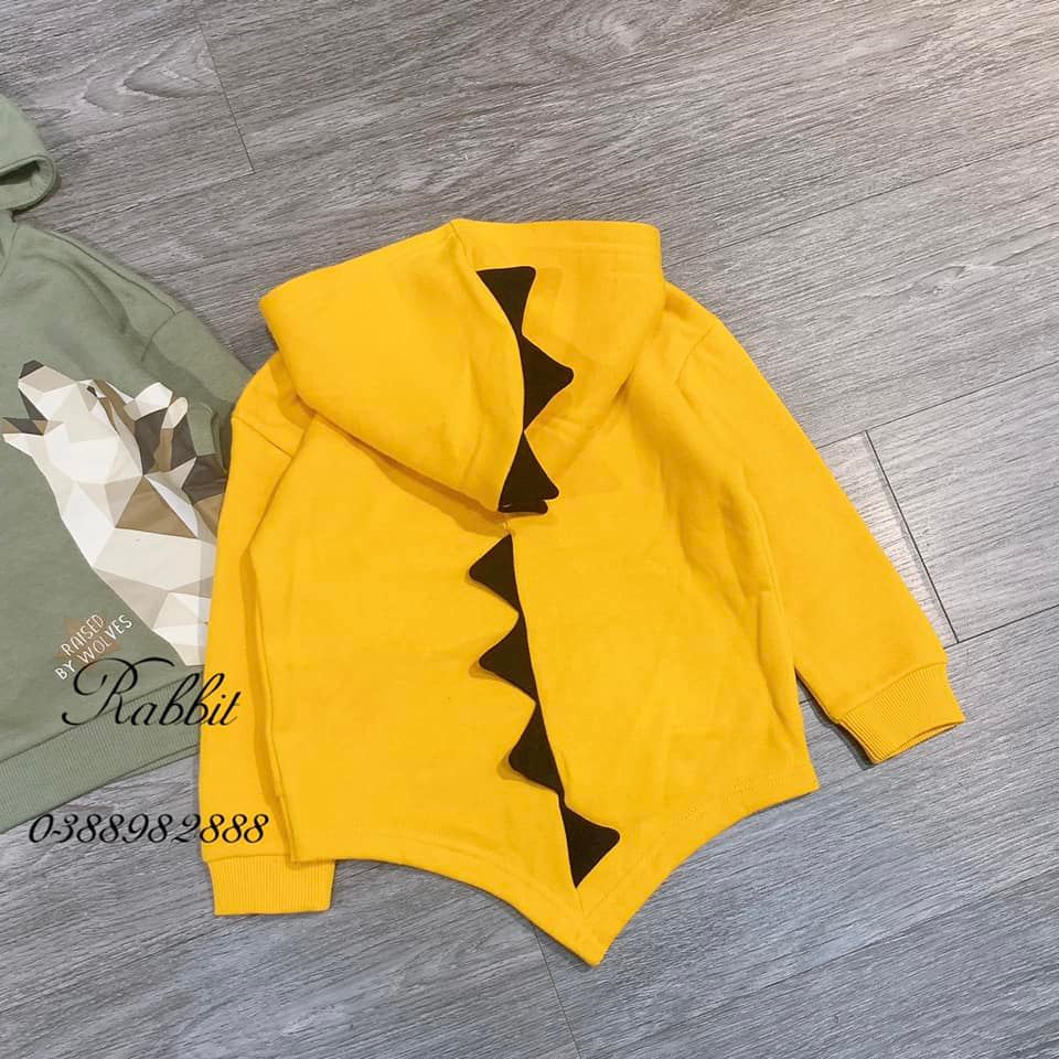 Áo nỉ hoodie