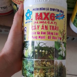Ra hoa CAT MX6 1000ml