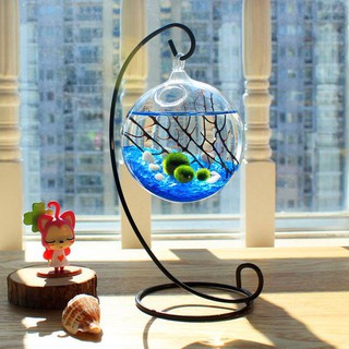 CẦU TẢO MARIMO 2,5CM - 1 Con/ gói