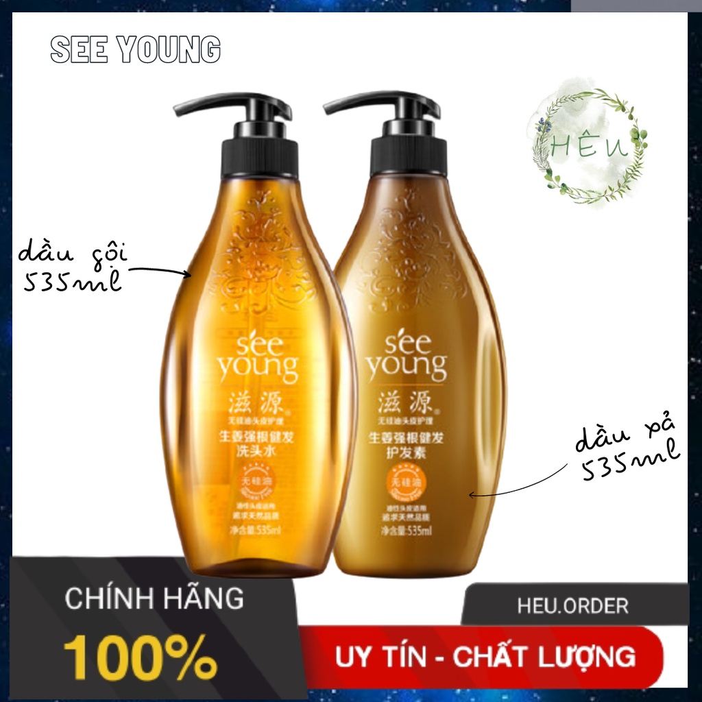 Dầu gội gừng See Young không chứa silicon sạch gàu, tóc bóng khoẻ