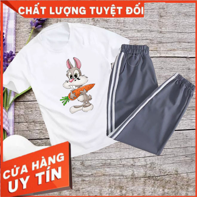 [HÀNG HOT] Sét Bộ Đồ Quần Áo Nữ Đẹp Giá Rẻ Ngắn Tay Mặc Đi Chơi Xinh Cute - Mặc Ở Nhà Dễ Thương Cho Học Sinh Cấp 2-3