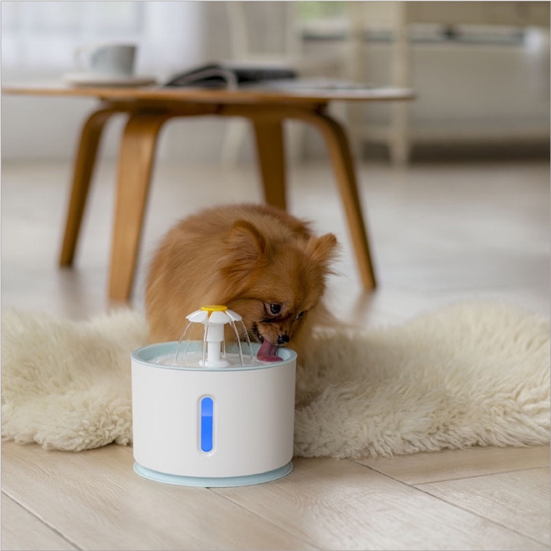 Máy lọc nước cho mèo uống tự động Pet Water Dispenser dung tích 3L