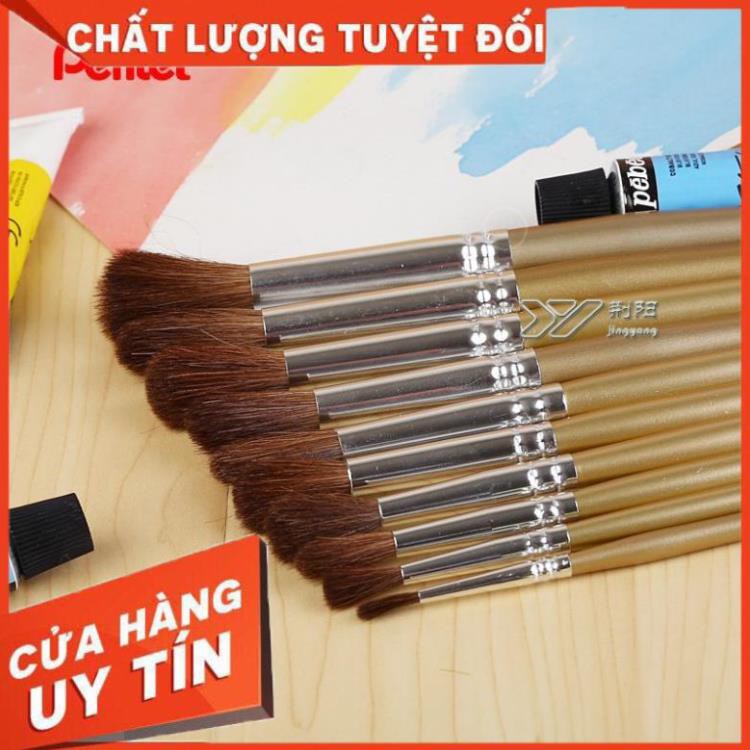 CỌ VẼ MÀU NƯỚC PENTEL ZBS(từ số 0 tới số 12)