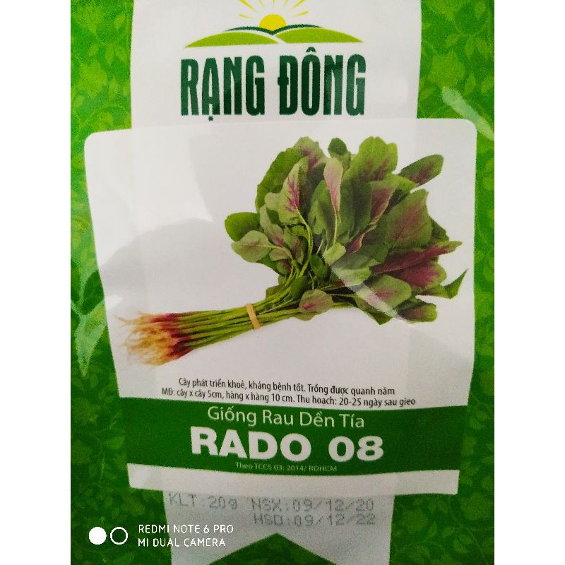 Hạt giống Dền tía 20gr❤️FREESHIP XTRA❤️