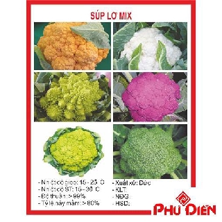Gói 100 hạt giống súp lơ mix  PHÚ ĐIỀN