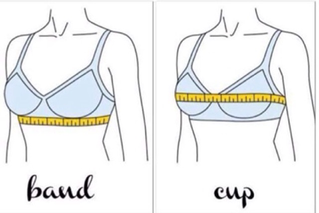 ÁO LÓT NỮ KHÔNG GỌNG A2383