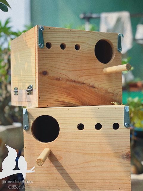 Tổ đẻ vẹt Lovebird (Vẹt tình yêu) mẫu cơ bản.