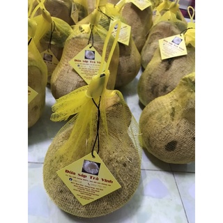 Dừa sáp Trà Vinh Loại 2 (trái 1kg-2kg)
