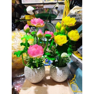 Chậu Sen đất sét ~30cm thành phẩm luôn chậu