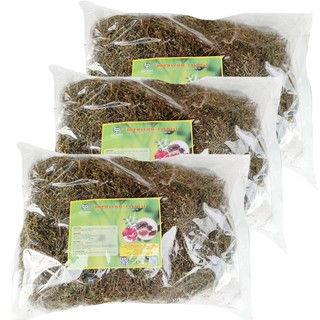 Combo 3kg Diệp hạ châu sấy khô cao cấp