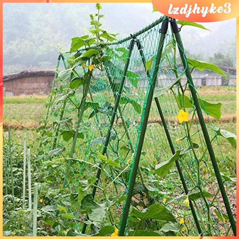 Lưới Trồng Cây Dây Leo Bằng Nylon lzdjhyke3