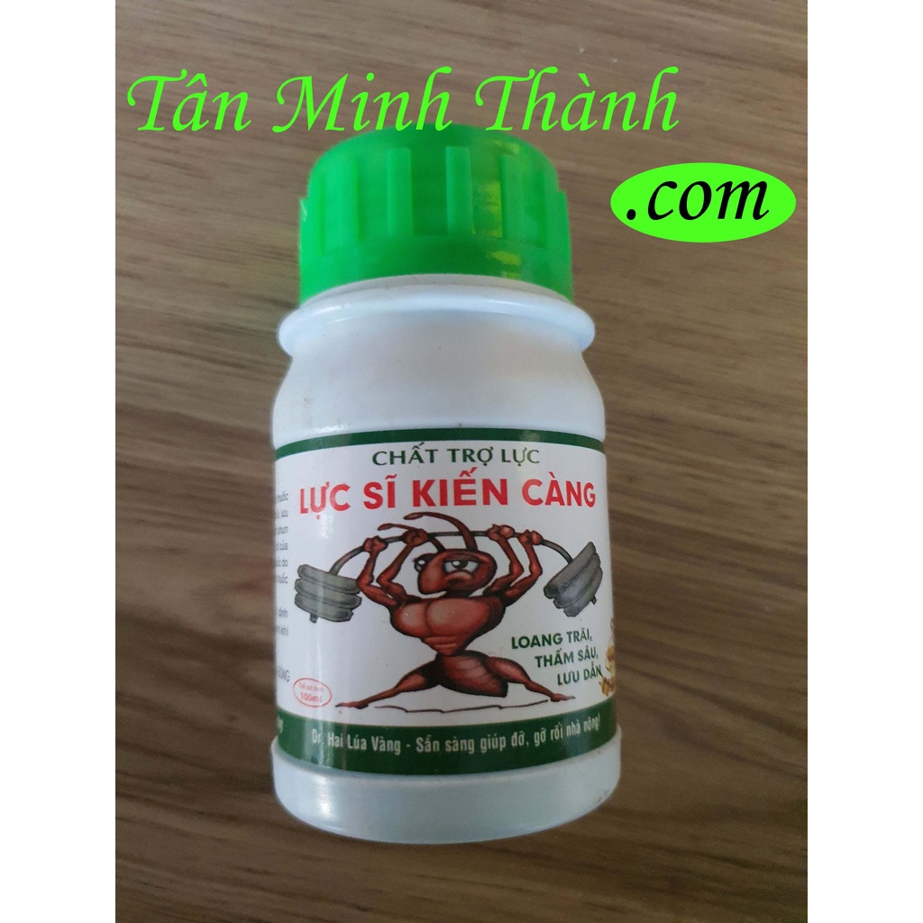 LỰC SĨ KIẾN CÀNG – Chất trợ lực, loang trãi, thấm sâu, lưu dẫn, bám dính, tăng cường hiệu quả quản lý dịch hại
