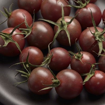 5h Hạt Giống Cà Chua Chocolate luckyseed hạt siêu rẻ