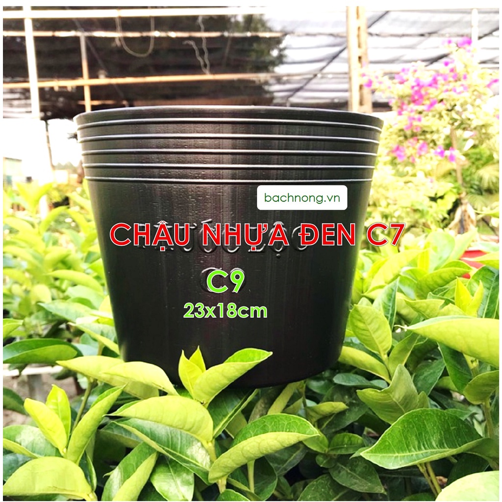 Chậu nhựa đen C9  trồng cây, ươm cây, và trồng kiểng